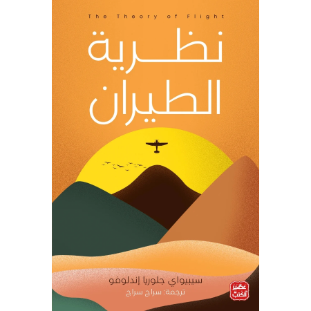 نظرية الطيران